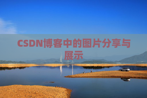 CSDN博客中的图片分享与展示